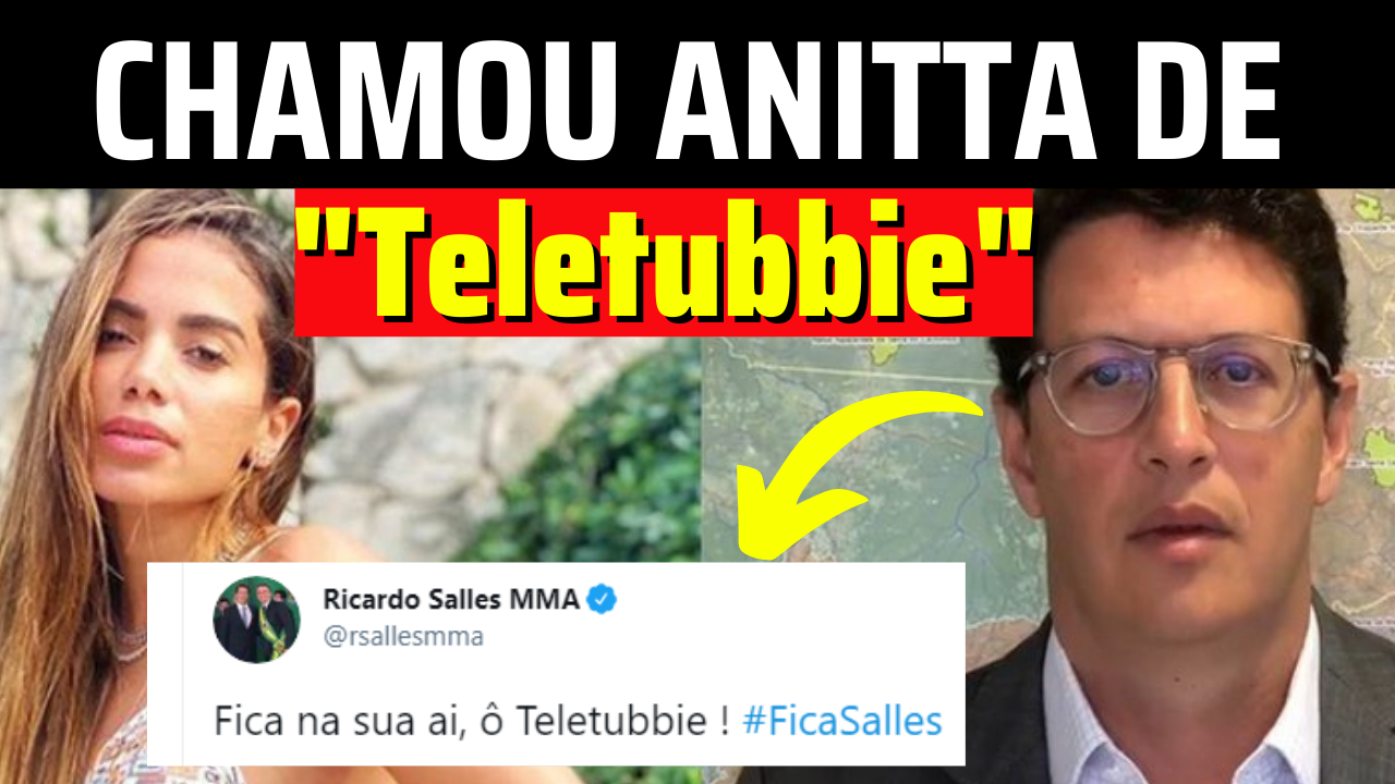 Anitta pede #ForaSalles e ministro responde a chamando de 'Teletubbie'
