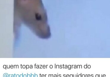 Rato do ‘BBB 20’ tem mais seguidores que Hadson e até nome – BBB – Big Brother Brasil – iG
