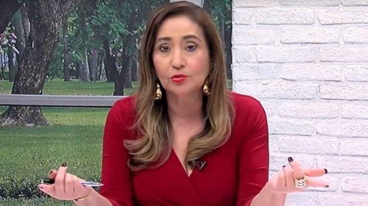 Sonia Abrão é processada por fake news e fotógrafo exige desculpa   TV & Novelas   iG