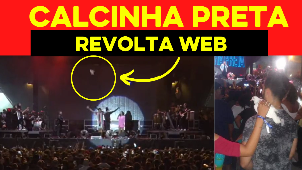 Calcinha Preta tenta homenagear Paulinha Abelha com Pomba, mas ave cai na plateia e Revolta web