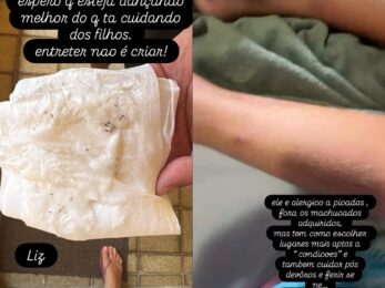 Luana Piovani critica Pedro Scooby após reencontrar os filhos com piolhos e ferimentos: atriz questiona os cuidados do ex e afirma que “entreter não é criar”